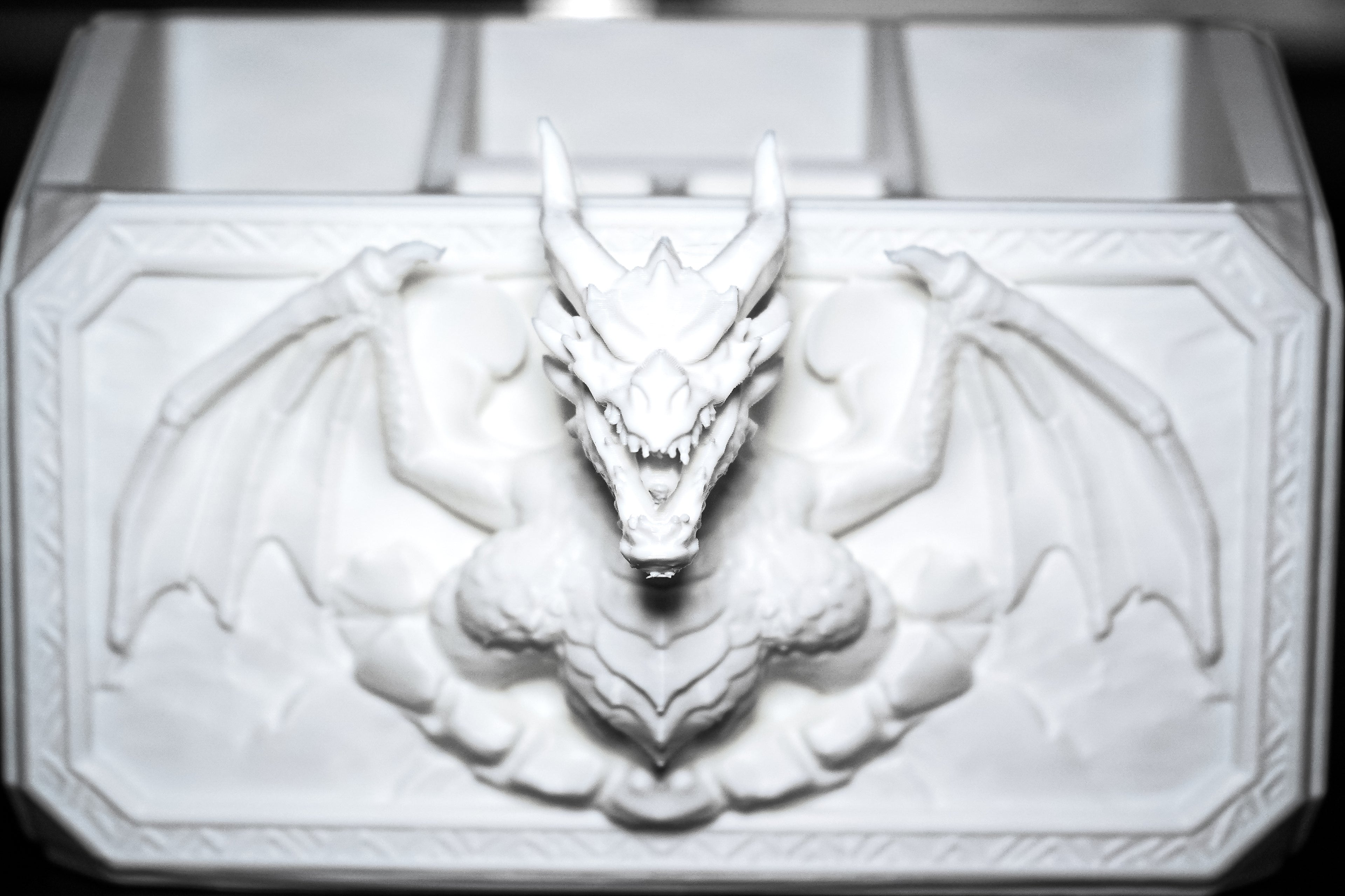 Dragon Den Organizer 🐉