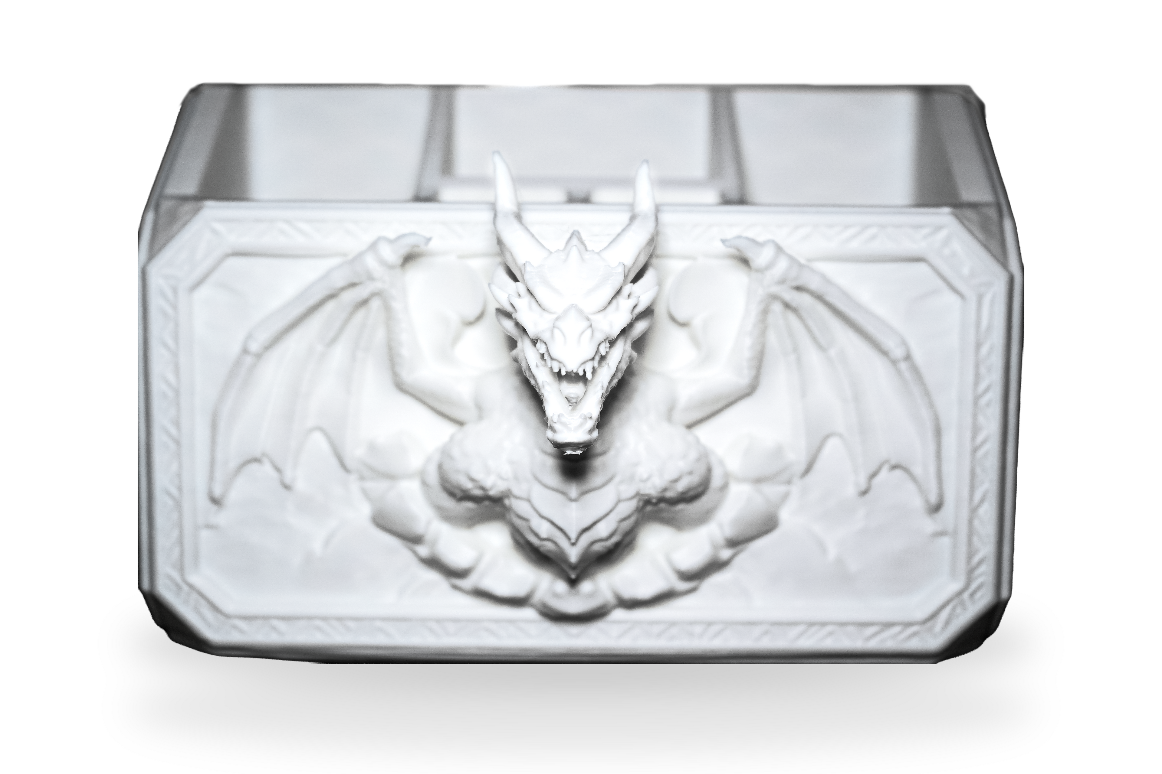 Dragon Den Organizer 🐉